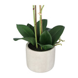 Kopu® Kunstbloem Orchidee 60 cm Roze -  cement Sierpot - Phalenopsis