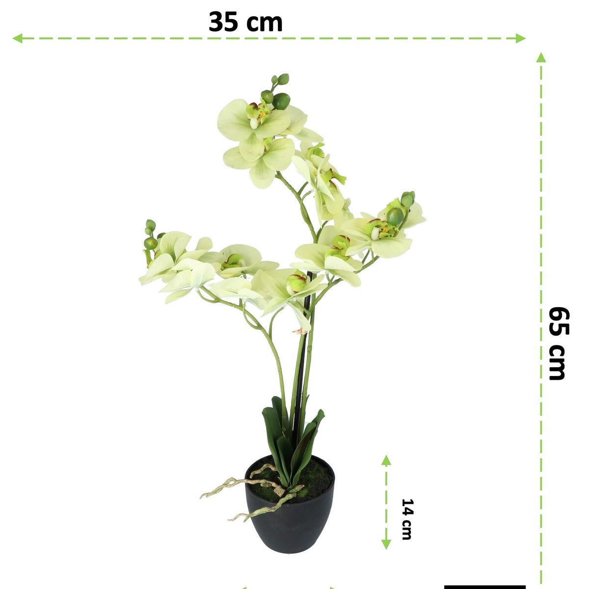Kopu® Kunstbloem Orchidee 65 cm Groen met zwarte Schaal - Phalenopsis