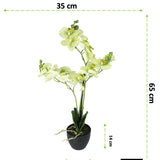 Kopu® Kunstbloem Orchidee 65 cm Groen met zwarte Schaal - Phalenopsis