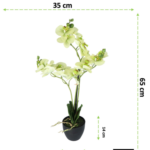 Kopu® Kunstbloem Orchidee 65 cm Groen met zwarte Schaal - Phalenopsis