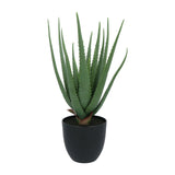 Kopu® Kunstplant Aloe Vera 55 cm in zwarte Bloempot - 17 bladeren