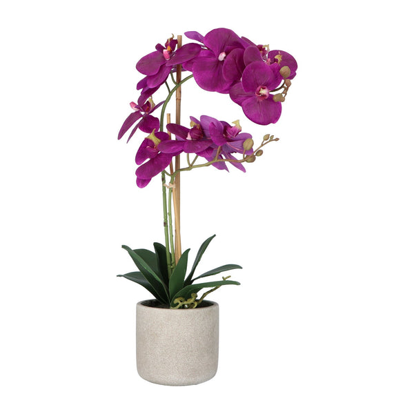 Kopu® Kunstbloem Orchidee 60 cm Lila - cement Sierpot - Phalenopsis