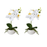 Kopu® Set 2 stuks Mini Kunstplant Orchidee 27 cm in witte Sierpot - Wit