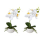 Kopu® Set 2 stuks Mini Kunstplant Orchidee 27 cm in witte Sierpot - Wit