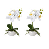 Kopu® Set 2 stuks Mini Kunstplant Orchidee 27 cm in witte Sierpot - Wit