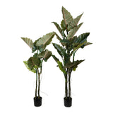 Kopu® Kunstplant Colocasia 180 cm - 19 bladeren - in zwarte pot