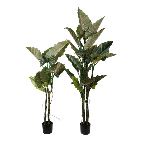 Kopu® Kunstplant Colocasia 180 cm - 19 bladeren - in zwarte pot