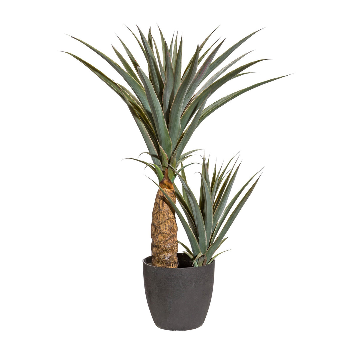 Kopu® Kunstplant Agave 80 cm in zwarte Pot - 2 stammen - Nepplant