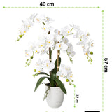 Kopu® Kunstbloem Orchidee 67 cm Wit In Bloempot Rond - Phalaenopsis