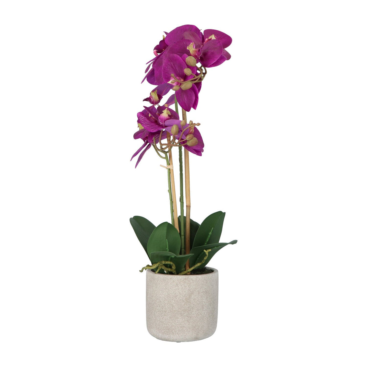 Kopu® Kunstbloem Orchidee 60 cm Lila - cement Sierpot - Phalenopsis