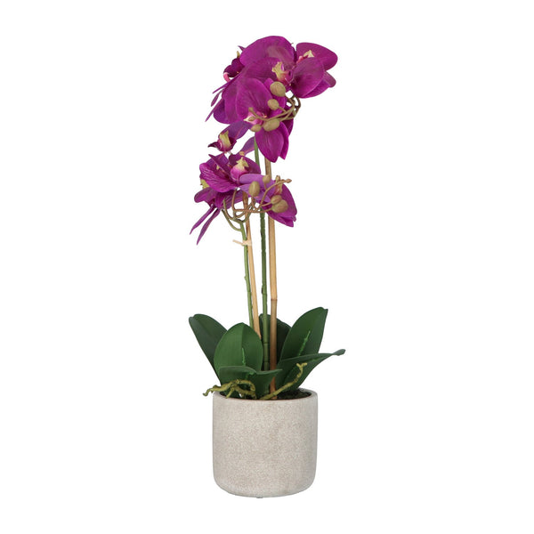 Kopu® Kunstbloem Orchidee 60 cm Lila - cement Sierpot - Phalenopsis
