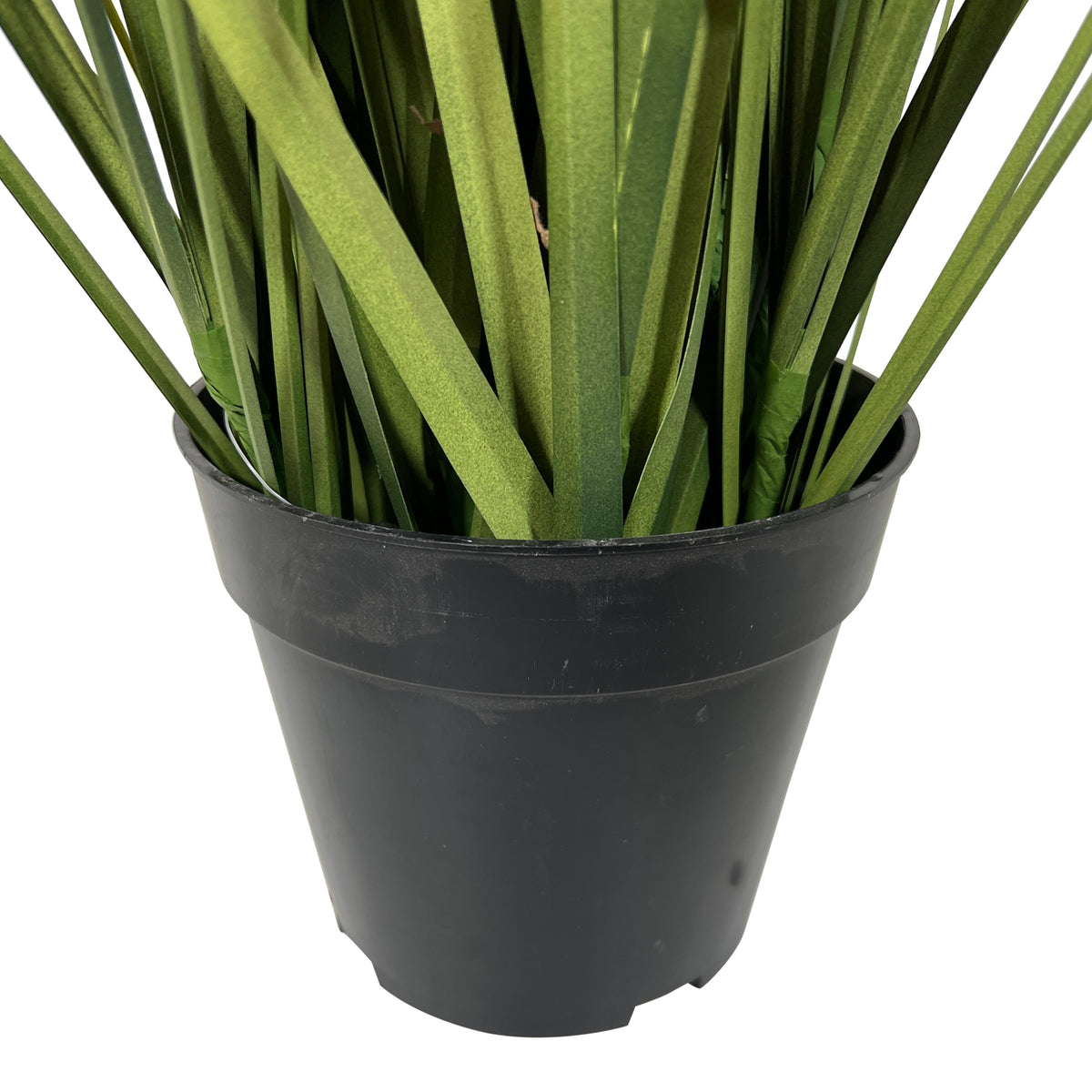 Kopu® Kunstplant Pluimgierst 122 cm - 5 halmen - in zwarte pot