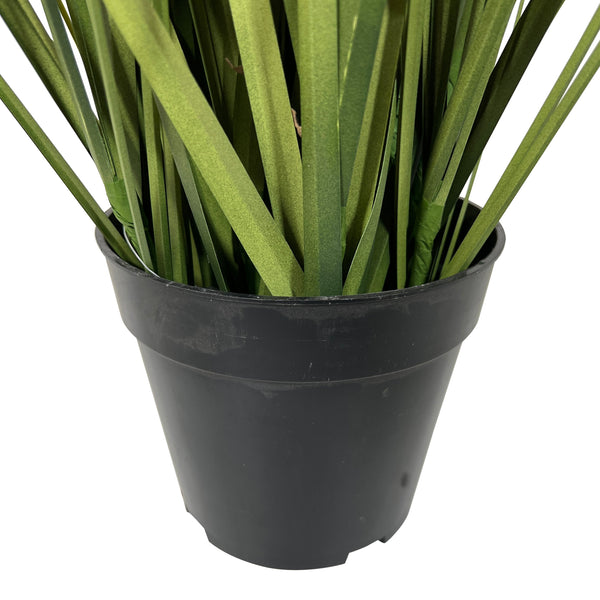 Kopu® Kunstplant Pluimgierst 122 cm - 5 halmen - in zwarte pot
