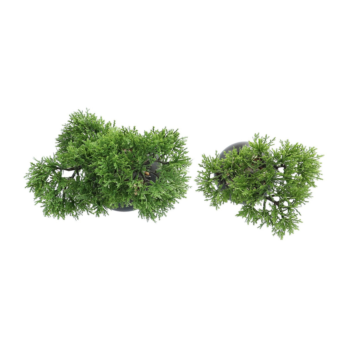Kopu® 2 stuks Kunstplant Bonsai boompje Ceder 19 en 25 cm met Pot