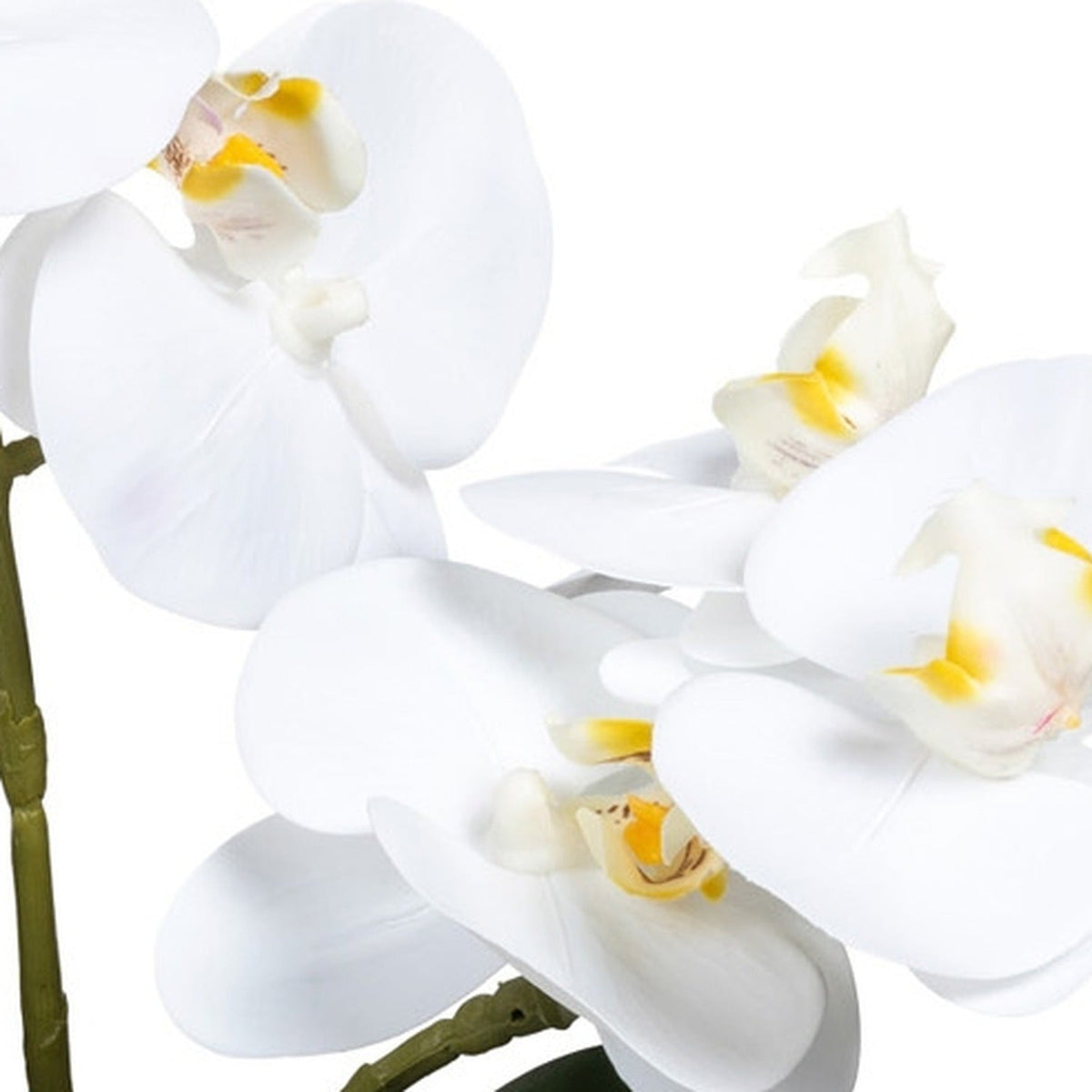Kopu® Kunstbloem Witte Orchidee 35 cm in mooie witte Vaas - Phalenopsis
