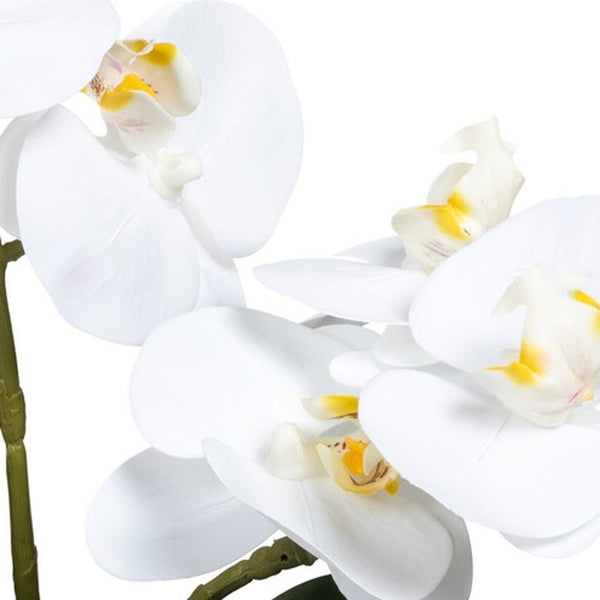 Kopu® Kunstbloem Witte Orchidee 35 cm in mooie witte Vaas - Phalenopsis
