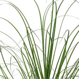 Kopu® Kunstplant Zegge Grasplant 90 cm - in Witte Sierpot - Nepplant