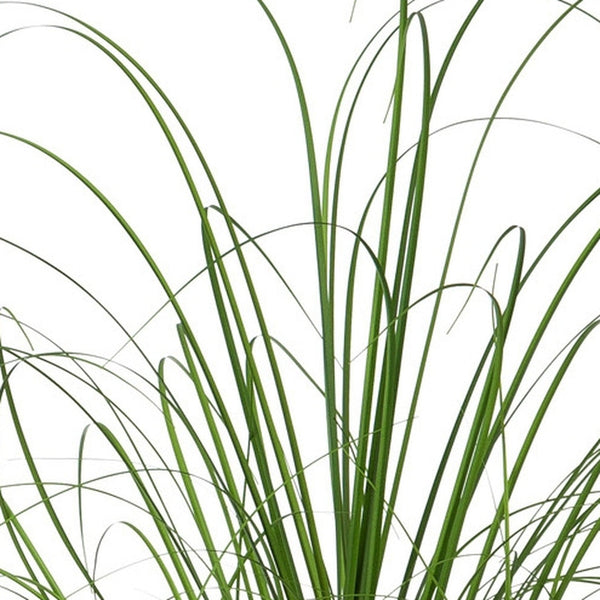 Kopu® Kunstplant Zegge Grasplant 90 cm - in Witte Sierpot - Nepplant