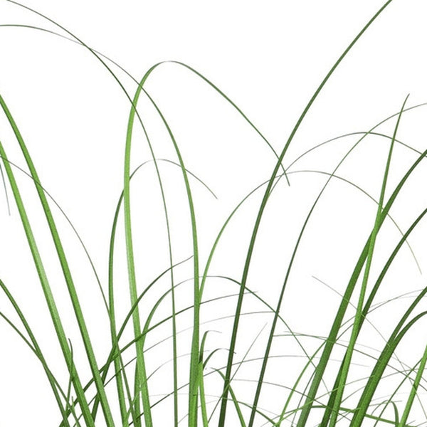 Kopu® set 3 stuks kunstplanten Grasplant 40-50-60 cm in Witte Sierpot
