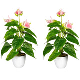 Kopu® 2 stuks Anthurium Roze Kunstplant 40 cm - Flamingoplant Roze