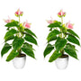 Kopu® 2 stuks Anthurium Roze Kunstplant 40 cm - Flamingoplant Roze