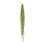 Kopu® kunstplant Tilandsia extra Lange Hangplant 140 cm - Groen