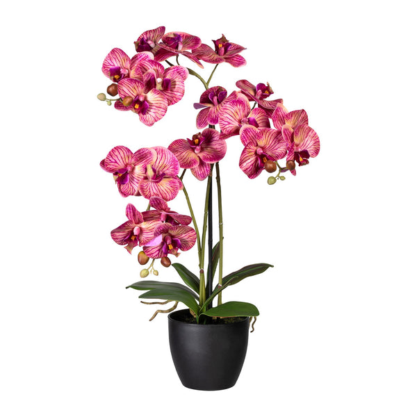 Kopu® Kunstbloem Orchidee 65 cm Lila met zwarte Sierpot - Phalenopsis