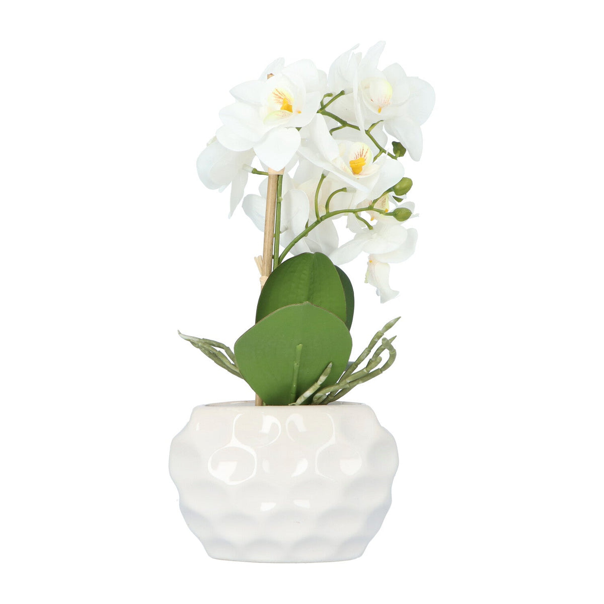 Kopu Kunstplant Orchidee 33 cm - In Witte Sierpot 13x9cm - Wit
