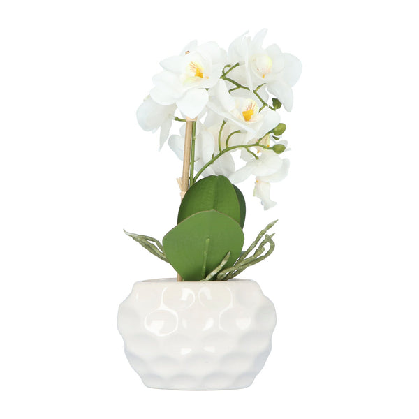 Kopu Kunstplant Orchidee 33 cm In Witte Sierpot 13x9cm - Wit