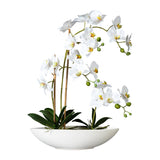 Kopu® Kunstbloem Orchidee 60 cm Wit met Schaal Ovaal - Phalenopsis