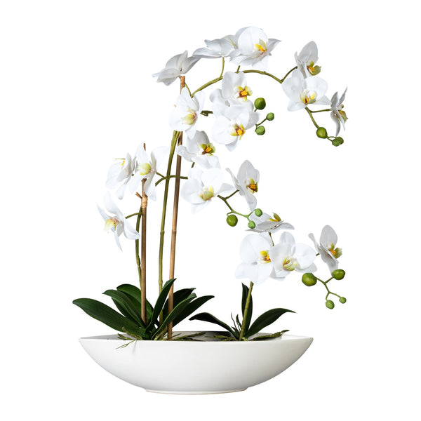 Kopu® Kunstbloem Orchidee 60 cm Wit met Schaal Ovaal - Phalenopsis