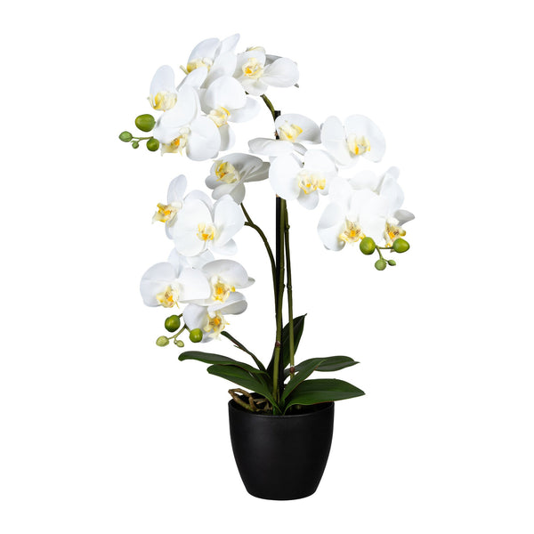 Kopu® Kunstbloem Orchidee 65 cm Wit met zwarte Pot - Phalenopsis