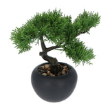 Kopu® 2 stuks Kunstplant Bonsai boompje Ceder 19 en 25 cm met Pot