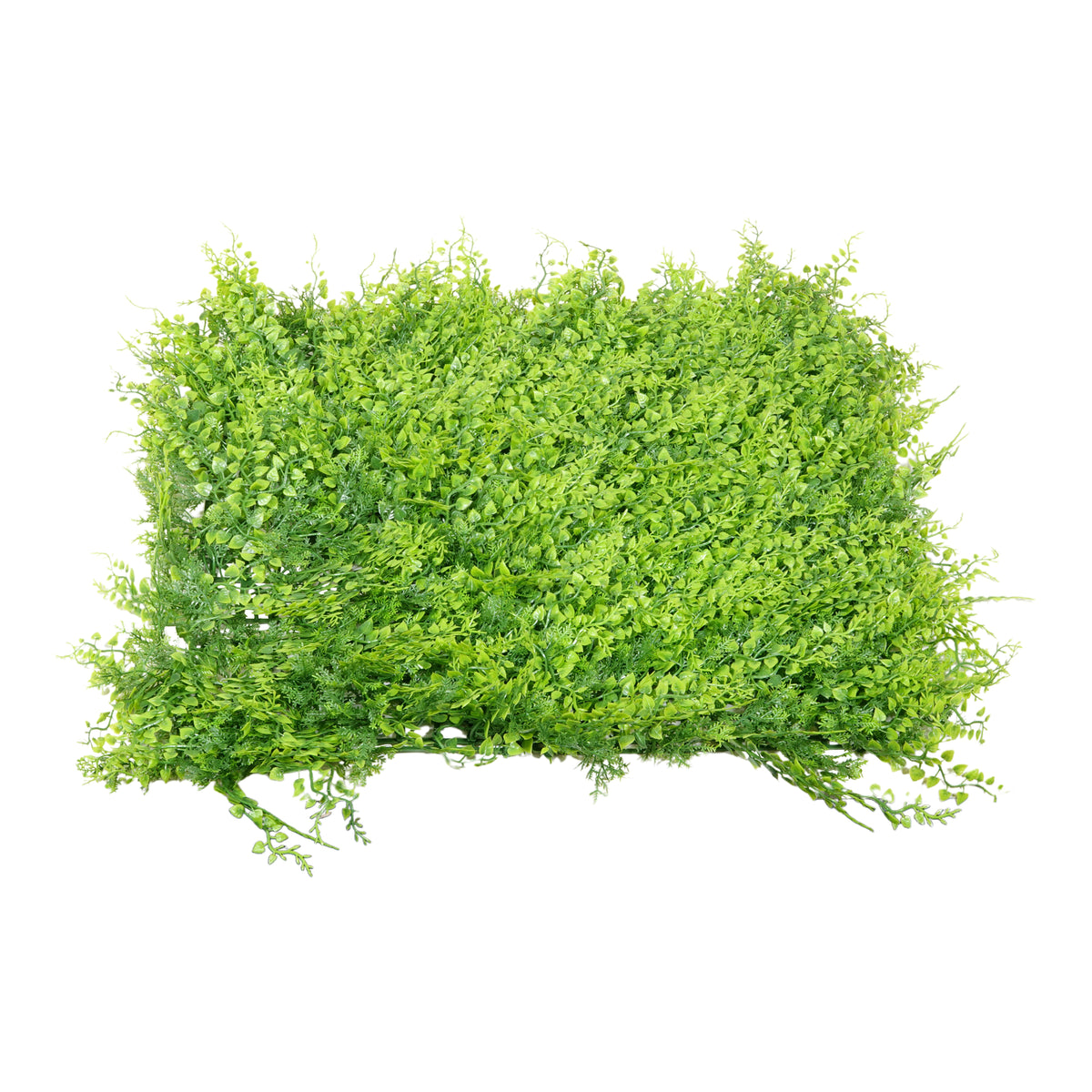 Kopu® UV Bestendig Wandpaneel Planten mat 50x50x7 cm Varens