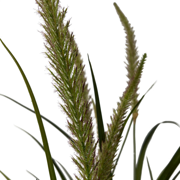 Kopu® Kunstplant Miscanthus 135 cm - 7 pluimen - in zwarte pot