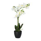 Kopu® Kunstbloem Orchidee 69 cm Wit met zwarte Pot - Phalenopsis
