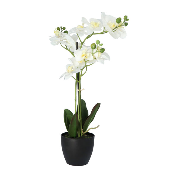Kopu® Kunstbloem Orchidee 69 cm Wit met zwarte Pot - Phalenopsis
