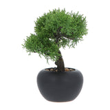 Kopu® 2 stuks Kunstplant Bonsai boompje Ceder 19 en 25 cm met Pot