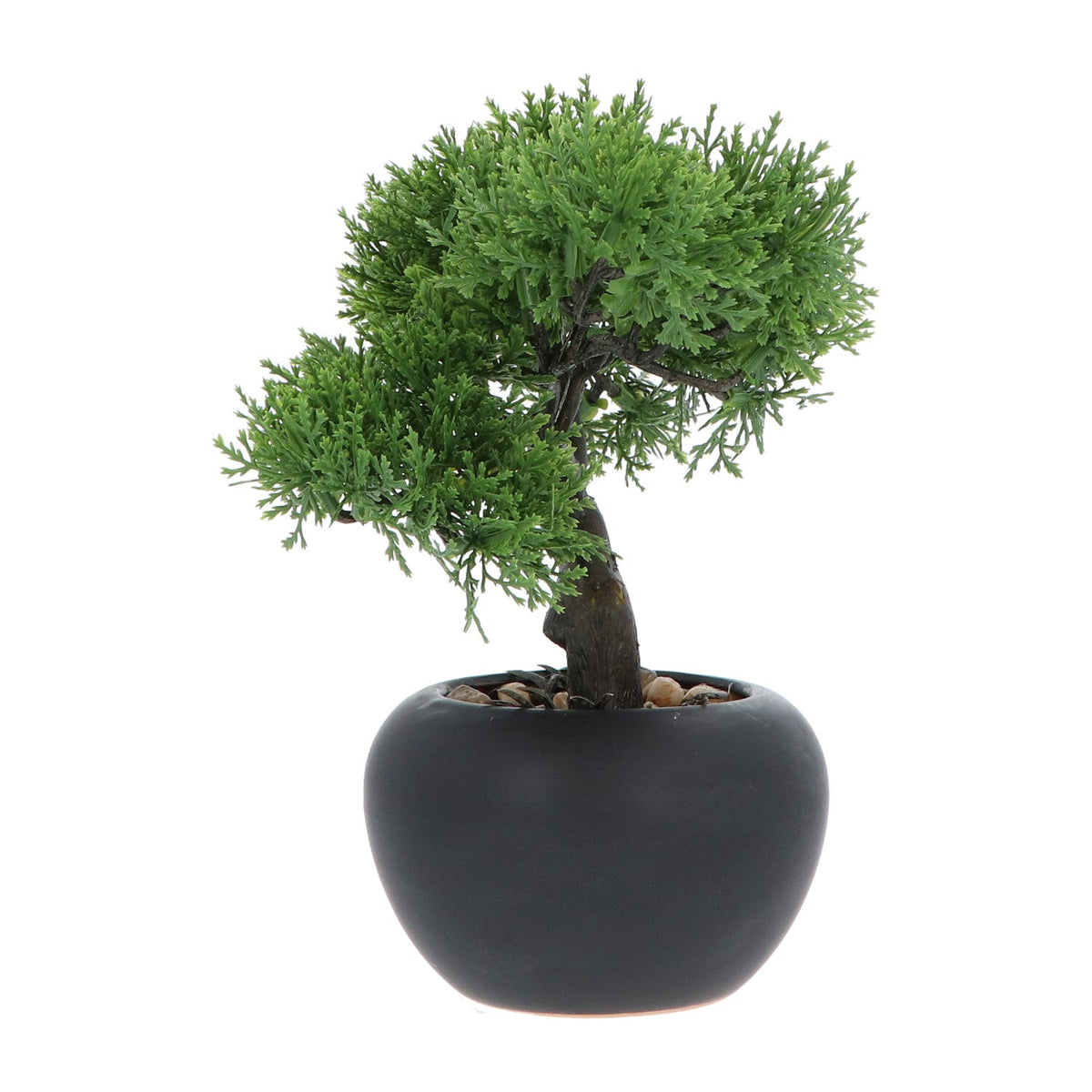 Kopu® 2 stuks Kunstplant Bonsai boompje Ceder 19 en 25 cm met Pot
