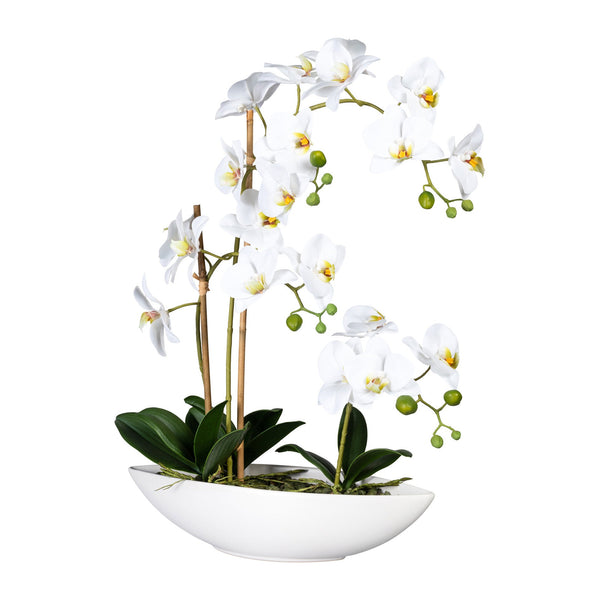 Kopu® Kunstbloem Orchidee 60 cm Wit met Schaal Ovaal - Phalenopsis