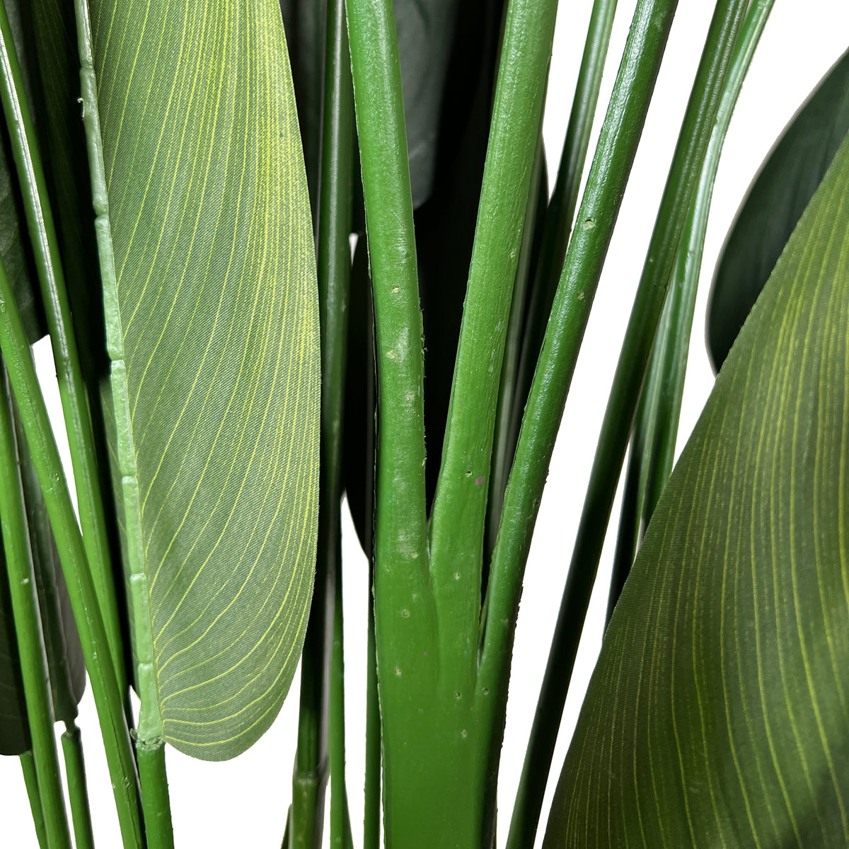 Kopu® Kunstplant Canna 210 cm 32 bladeren - in zwarte pot - Bloemriet