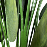Kopu® Kunstplant Canna 210 cm 32 bladeren - in zwarte pot - Bloemriet