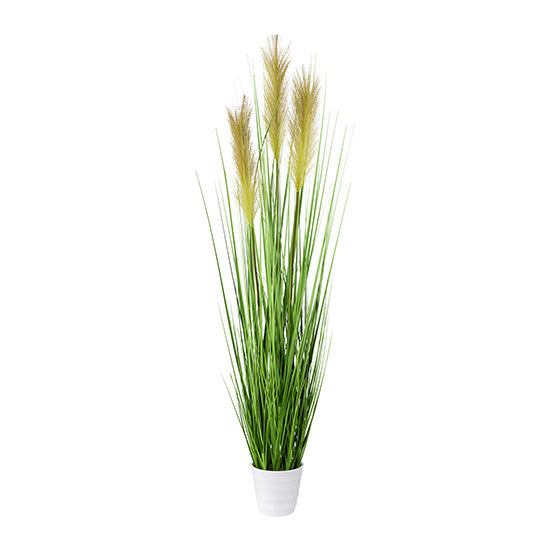 Kopu® Kunstplant Pampusgras 95 cm - 3 pluimen - in witte pot
