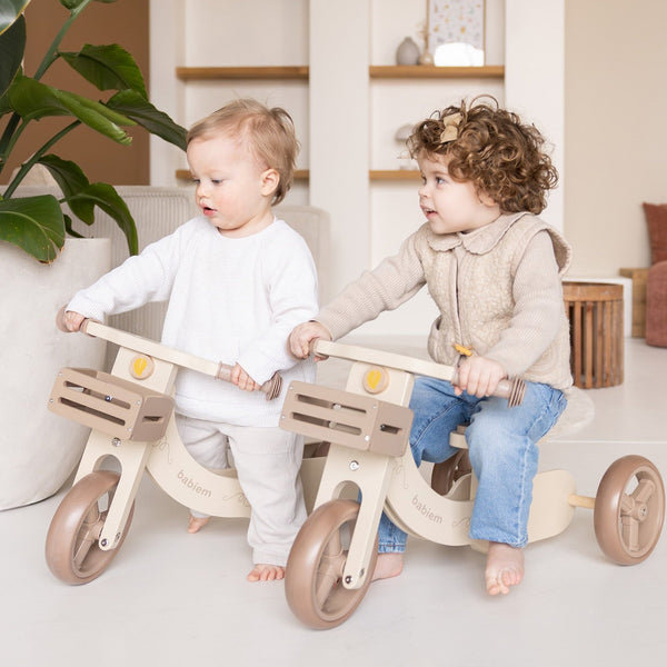 2-in-1 Loopfiets James | Verstelbaar van 3 naar 2 Wielen
