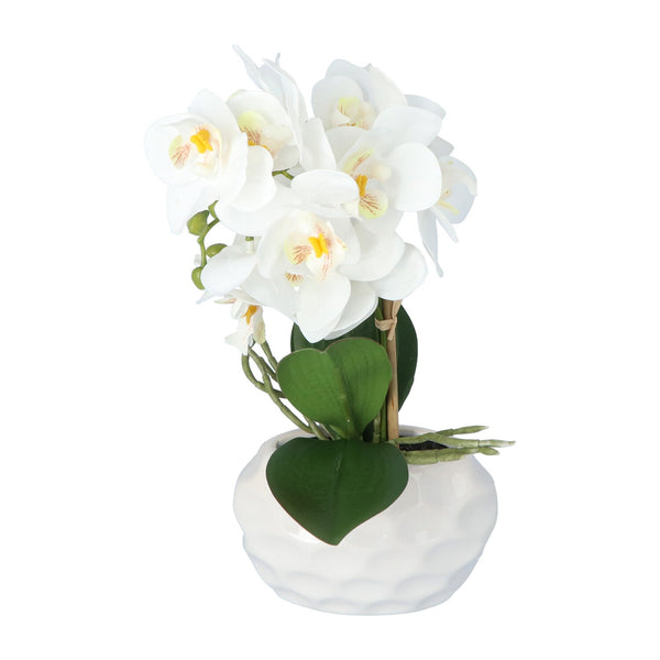 Kopu Kunstplant Orchidee 33 cm In Witte Sierpot 13x9cm - Wit