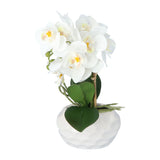 Kopu Kunstplant Orchidee 33 cm - In Witte Sierpot 13x9cm - Wit