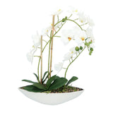 Kopu® Kunstbloem Orchidee 60 cm Wit met Schaal Ovaal - Phalenopsis