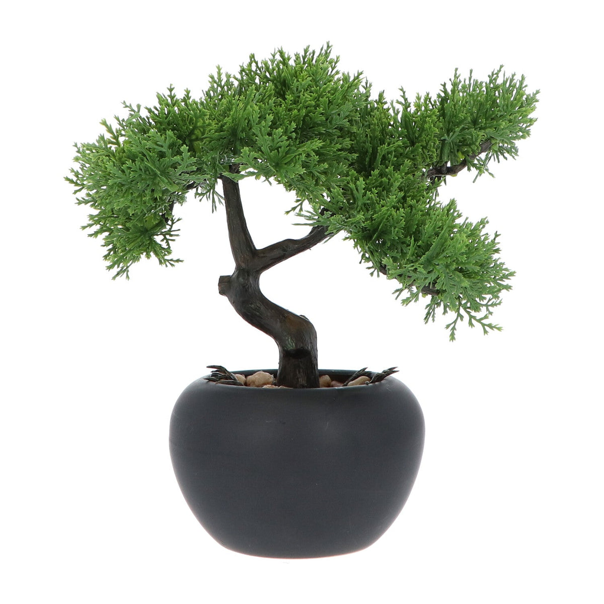 Kopu® 2 stuks Kunstplant Bonsai boompje Ceder 19 en 25 cm met Pot