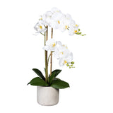 Kopu® Kunstbloem Orchidee 60 cm Wit met cement Sierpot - Phalenopsis