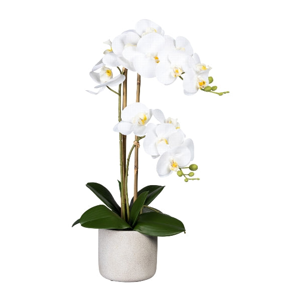 Kopu® Kunstbloem Orchidee 60 cm Wit met cement Sierpot - Phalenopsis